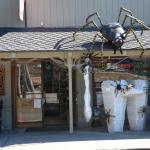 Cambria_0440 (November 01, 2013)